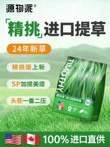 Premium Timothy Hay Dried Rabbit Teeth Grinding Pet Food High Fiber Source for Rabbits Other Pet Supplies by Original Matter