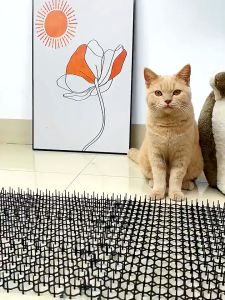 Animal Repellent Mat Anti Cat Dog Spikes Mat Pet Control Carpet Animal Repel Mat Spike Anti Climb Fence Wall Cat Dog Pet Control Carpet