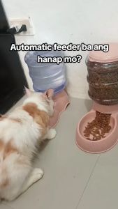 3.8L Dog FOOD Dispenser Plastic Transparent Large Capacity Food Feeder Pet Supplies