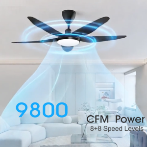 🔥HOT SALE🔥INOVO T1 DC silent ceiling fan with light 40" 56" 5B-16S-9800CFM RF-Remote 5-year warranty