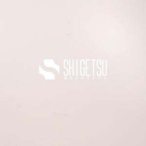 Shigetsu TAKEFU Block Backpack for Men 14 INCHES Laptop business office bag Backpack for School
