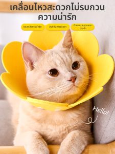 7o | Anti-Licking Neck Collar