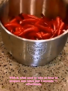 SEESAYES Electric Meat Vegetables 600W Grinder Auto Mixing and Food Processor Chopper Machine