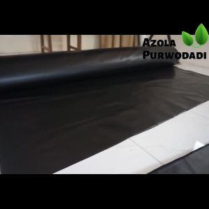 Plastik HDPE Geomembran 200 Micron 4 x 2 meter untuk kolam / tambak