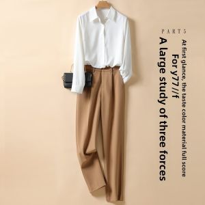 SHEBU | Leisure Fashionable Professional Chic Two-Piece Pant Suit