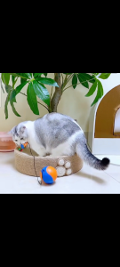 Auto Rolling Ball with Mouse Toy Battery Operated Cat Toy Smart Toy Self Play Toy Cat Fun