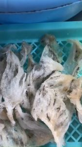 10gr30gr Yến Sào Vụn Khánh Hoà Đắp Sơ mướp