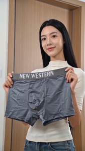 4PCS NewWestern Boxerbriefs For Men High Stretch Ice Silk Breathable Shorts 4-piece Set Pure Cotton Boxer Mens Underwear