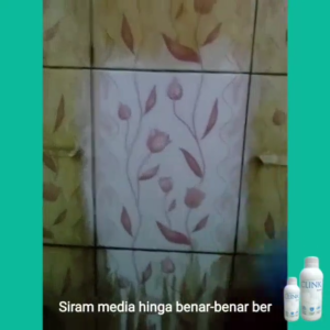 DISKON TUNG-TUNG!!! CLINK 1000ML PEMBERSIH KERAK LANTAI KAMAR MANDI TOILET KERAMIK PORSELEN KACA PELUNTUR KARAT NODA MEMBANDEL  AMPUH