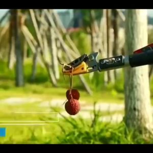 [ดึงได้10 เมตร!] 5in1 กรรไกรตัดกิ่ง 3/5/7/10M พร้อมเลื่อย - กรรไกรแต่งกิ่ง สำหรับตัดกิ่งไม้สูง ไม้สอยยืดหดได้ ปรับหดได้ กรรไกรตัดกิ่งด้ามยาว พร้อมด้าม