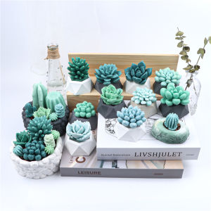 17 Styles Succulent Plants Silicone Candle Mold: A Comprehensive Guide