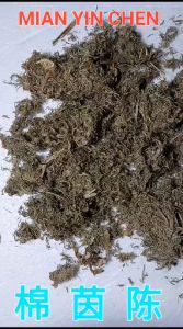 Mian Yin Chen Hao ARTEMISIA WORMWOOD 300 gram