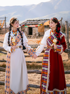 Tibetan Clothing Womens Noble Tibetan Robe Photo Tibetan Tourism Tibetan Ethnic Style Tibetan Dance Performance Costumes Women