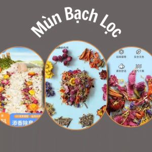 Mùn Cưa Lót Chuồng Chuột Hamter/Sóc/Bọ/Nhím/Thỏ Vườn Hoa ORCHID Mùi Hương Hoa Lá Giúp Lọc Không Khí Giảm Stress An Toàn