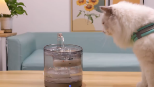 NPET Advanced Pet Water Dispenser for Cats & Small Pets - USB Rechargeable Whisper-Quiet Filtration System IPX6 Waterproof