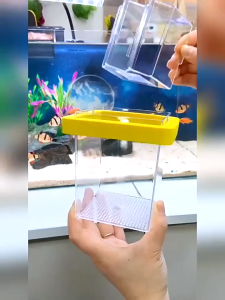 [MALAYSIA STOCK] Floating Breeding Box Isolation Box  Betta Guppy Molly Fish Acrylic Kotak Pembiakan Terapung Akuarium