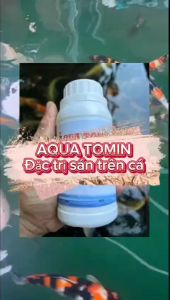 AQUA TOMIN Trị giun sáng trên cá
