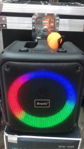 Brodu BTS-1935 6.5 inch FREE USB with songs IKARAOKE BOX professional system Bluetooth speaker with wireless rechargeable microphone