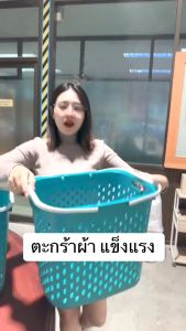 FJS ตะกร้าผ้า สำหรับใส่เสื้อผ้า รับน้ำหนักได้ดี พลาสติกเกรด A แข็งแรง ทนทาน รุ่น BK46