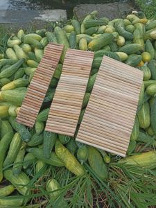 lantai terowongan Jembatan Hamster Kayu Fleksibel Bendy Bridge flexible rumah hamster landak mini pembatas pagar pager hamster landak atau marmut lebar 6cm panjang 30cm