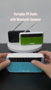 Rolton E500 Portable FM Radio Bluetooth Speaker Player USB