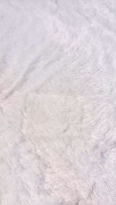 [LUSIN] Celana Dalam Pria AGREE 8886 / CD Pinggang Karet / Pakaian Dalam Ukuran M-XXL