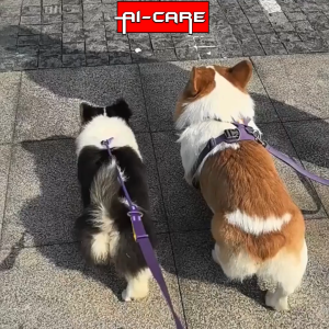 Premium Bello Stroller Large Size Lightweight Foldable Outdoor Travel For Cat & Dogs Kucing Anjing Max 30KG