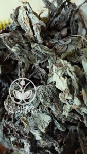 Daun Tempuyung Kering 100gr - Asli dan Organik