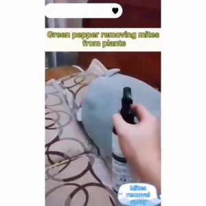 Anti-Mite Clothing Spray: A Safe & Natural Solution