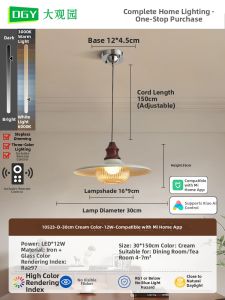 DGY | Retro French Creativity Pumpkin Hanging Light