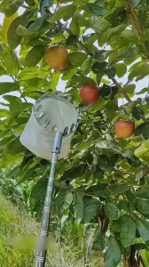 Bộ 5 Món Sào Gậy Dài 3M-7M Hái Quả Quét Trần Nhà Phơi Quần Áo Móc Lồng Chim Liềm Cắt Cành (Gậy+Đầu Vợt+Móc chim+Liềm+Chổi)