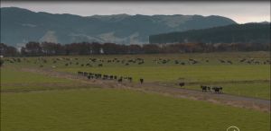 [Klang ValleyDelivery Only] Promex Salted Butter (227g) x6