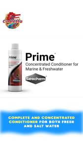 🇸🇬 GOBETTA SEACHEM PRIME 30 ML ANTI CHLORINE (RE-PACKAGED) CONCENTRATED CONDITIONER FOR FRESH WATER AND MARINE DECHLORINATOR FISH AQUARIUM SHOP AQUATIC SHOP FISH SINGAPORE ONLINE SHOP FISH TANK SHOP AQUARIUM SUPPLIES FRESHWATER FISH STORE SALTWATER FISH