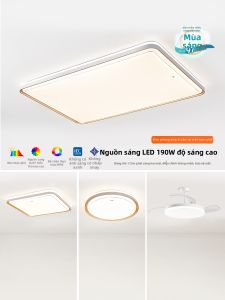 FSL | Large Living Room LED Ceiling Light Set for Main Bedroom