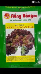 Hạt giống Xà lách xoăn tím dễ trồng năng suất cao hàng Công ty Thuận Điền