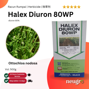 Halex Diuron 80WP Diuron 80% (500g) Racun Sambau Darat Racun Rumput Kerbau Rumput Lalang Rumput Parit 茅草除草剂