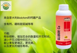 GLIBOR-CA Biolchim 1L 微量营养液🌿 combined calcium and boron 钙棚