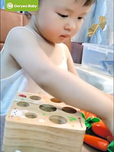 SG READY STOCK!!!Montessori Toys for 1 Year Baby Pull Carrot Set Game Kids Wooden Toy Shape Sorting Matching Puzzle Educational Toys for Children