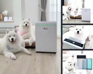 LiCC เครื่องฟอกอากาศ UV รุ่น FRESH-206 กรองฝุ่น PM2.5 สารก่อภูมิแพ้ กลิ่น ไวรัส สารเคมี รองรับสูงสุด 73 ตร.ม.