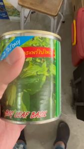 ปลาทอง โหระพาใบใหญ่ ขนาด 30 กรัม  หมดอายุ 05/2570  โหระพา ลอตใหม่ ลำต้นแข็งแรง โตไว ใบใหญ่ มีกลิ่นหอมมาก ต้นสูง 80-90 ซม. เก็บผลผลิตนาน npkfarm