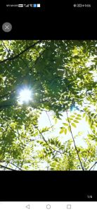 HICON 95W 15KG/24HRS MINI ICE CUBE MAKER MAKING MACHINE MESIN BUAT BATU AIS