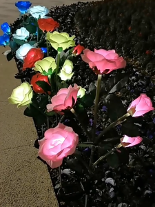 AIMO Solar Light Waterproof 5 Bigger Rose Flowers Lights for Garden Yard Lawn sidewalk Pathway Lighting