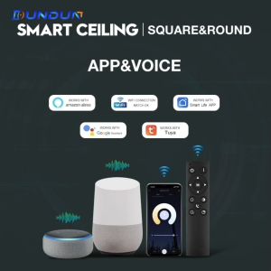 DunDun LED โคมไฟเพดาน สมาร์ท สีดำ การควบคุมด้วยเสียง APP ปรับความสว่างได ห้องนอ นห้องนั่งเล่น ห้องครั