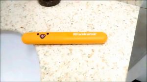 Hộp đựng bàn chải kem đánh răng hình gấu riku và gấu trúc để đồ cá nhân du lịch nhựa PP an toàn