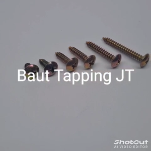 Baut Galvanis JT #8 Sekrup Tapping Screw Kepala Lebar LION