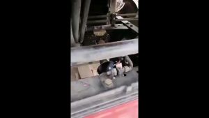 Upgraded 24V 600DB Air Horn Kit for Any Vehicle