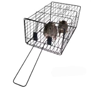 Jebakan Tikus Ukuran Besar 28x18x13 CM / Sentreg Perangkap Hama Tikus