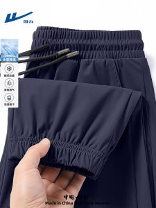 Quick Dry Ice Silk Sports Mens Summer Thin Casual Long Pants Elastic Waist Straight Leg Youthful Vitality Style Daily Wear