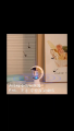 SG【ReadyStock】Electric Mosquito Repellent Incense Features Strong Mosquito Elimination Professional Ultrasonic Atomization Baby Safe Environment Chemical Free Multi Mode Choice Large Area Protection. 