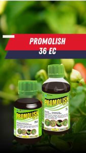 Mahakam Promolish 36 EC 1 liter Insektisida Pestisida Pembasmi Hama Tanaman Cabai